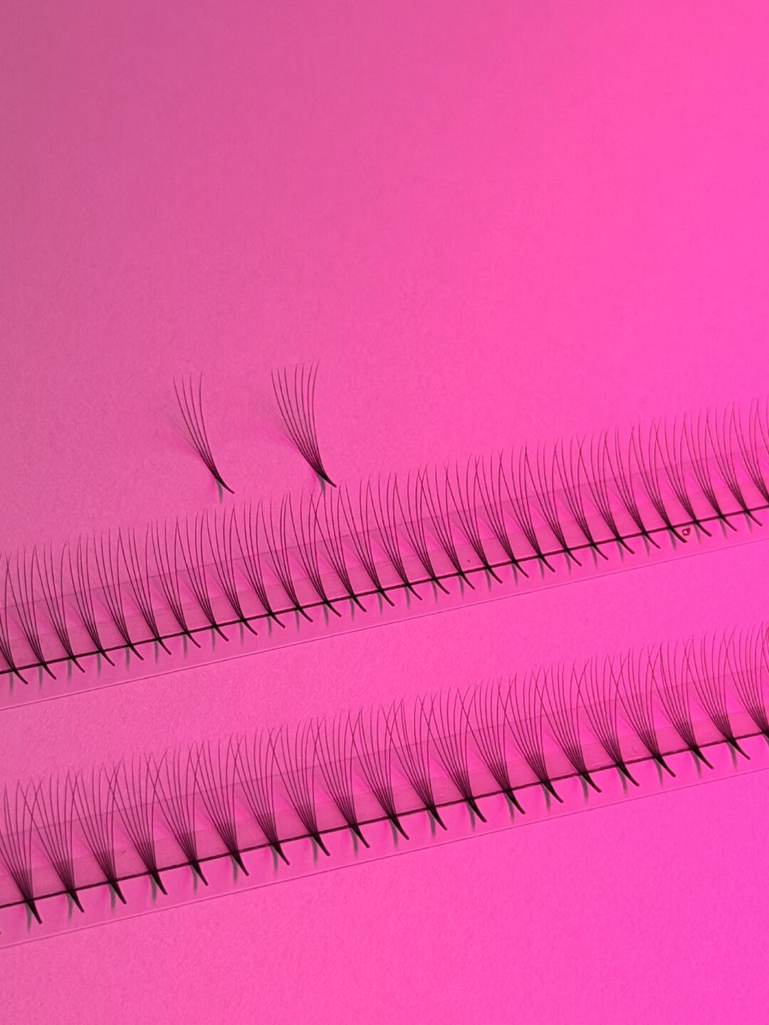 Lash Boss