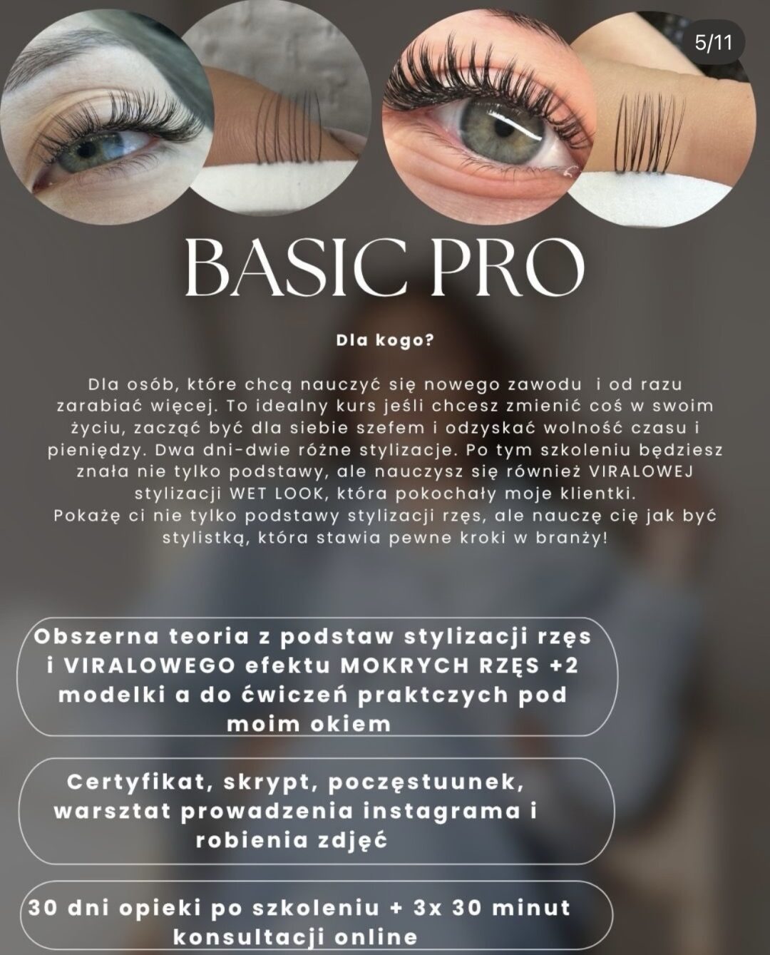 BASIC LASHES PRO two days