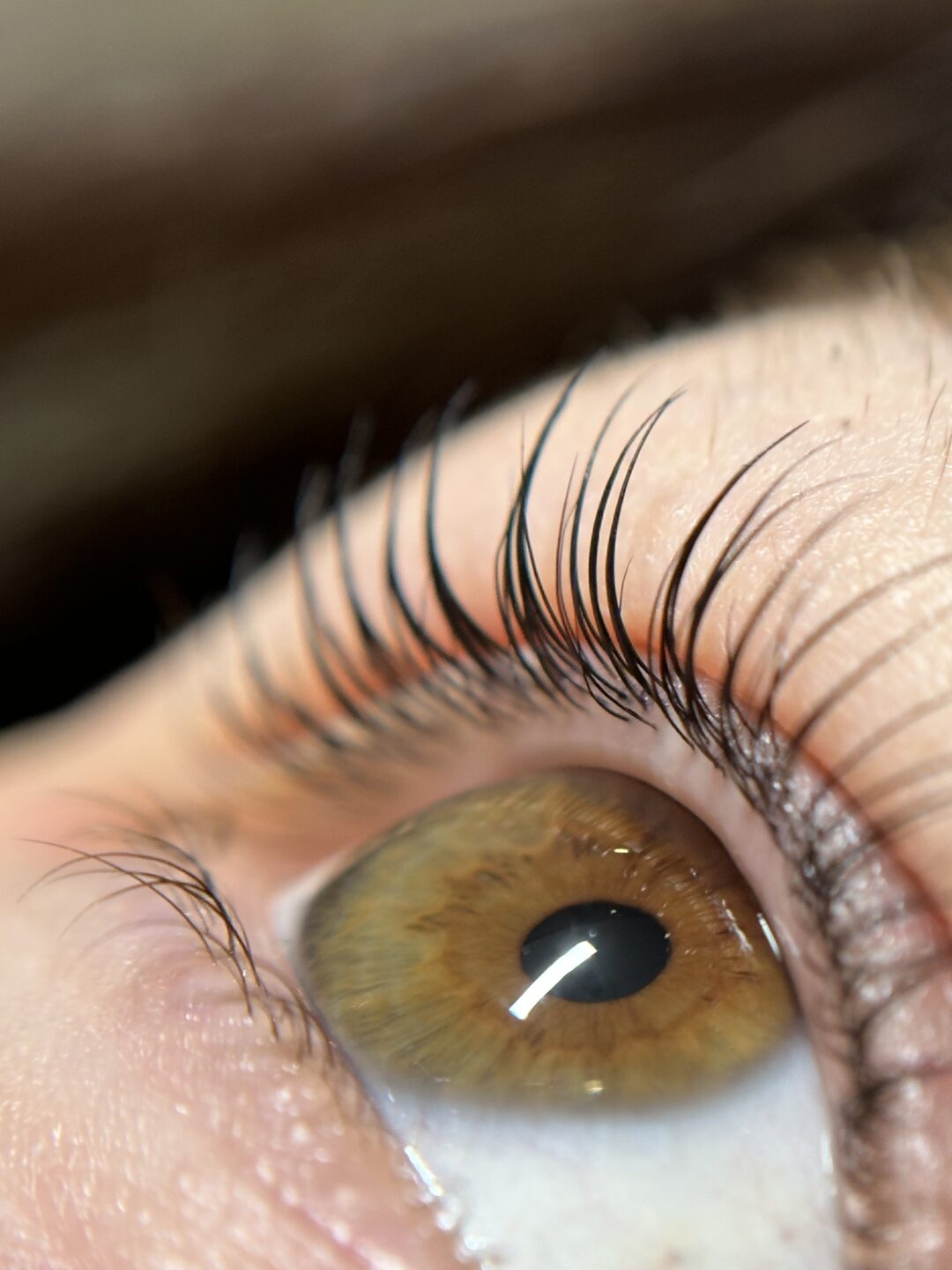 Lash lift basic