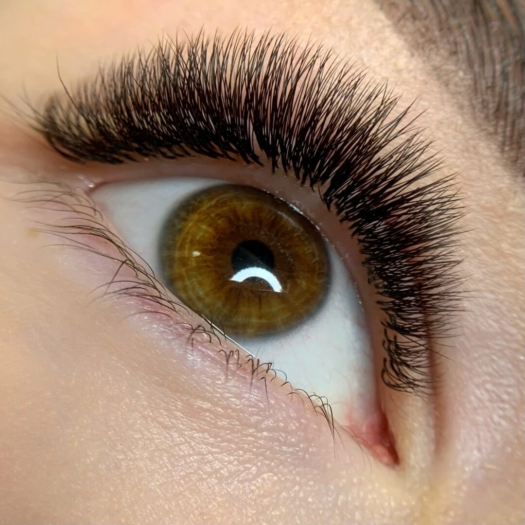 Volume 2-4D + wet look
