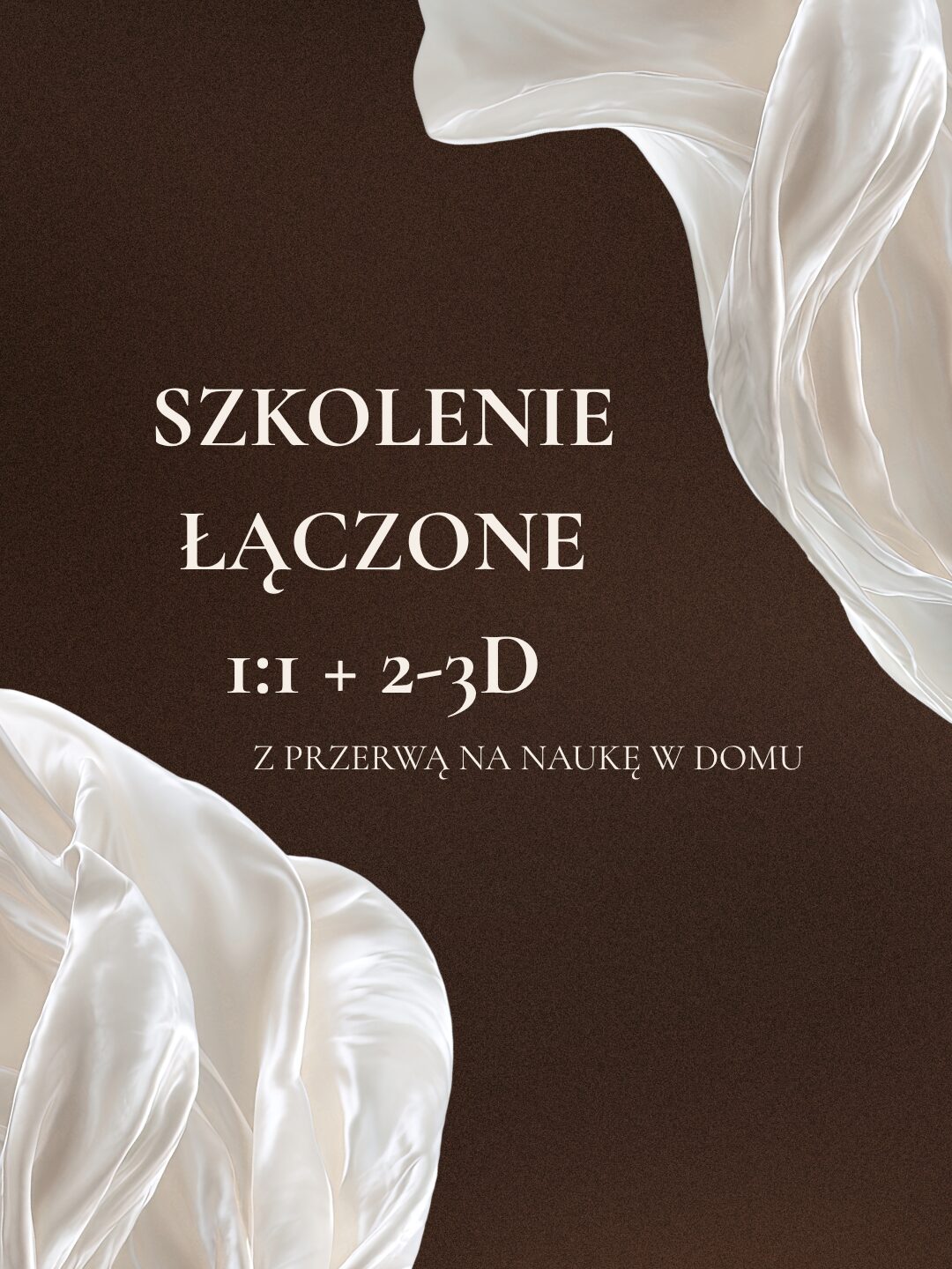 Szkolenie łączone 1:1 + 2-3 D 
Z przerwą na naukę w domu