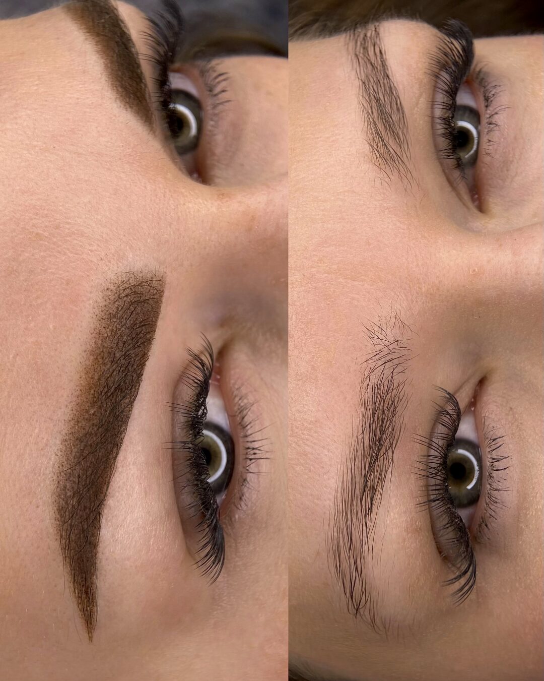 BASIC BROWS