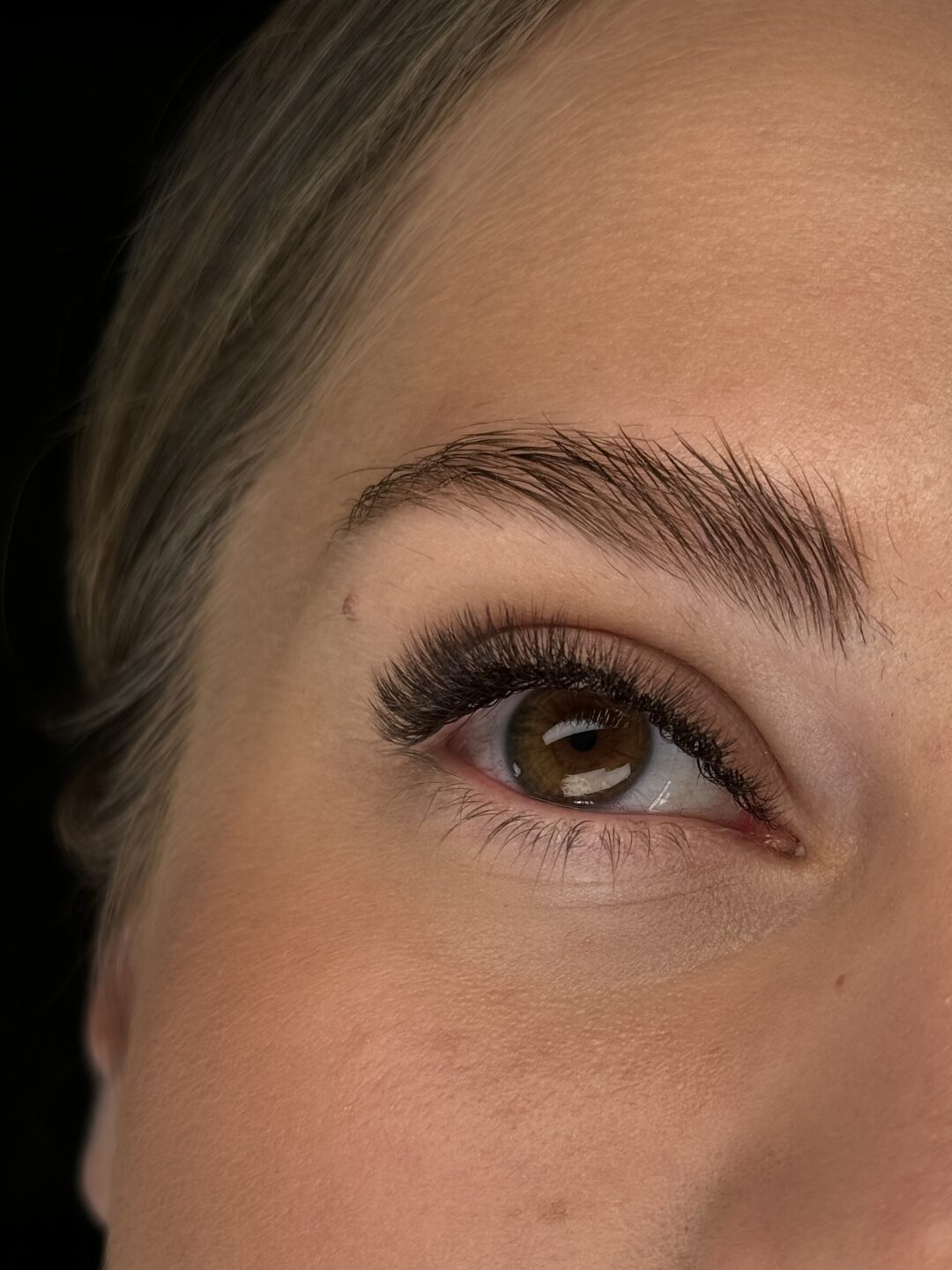 Volume Lashes