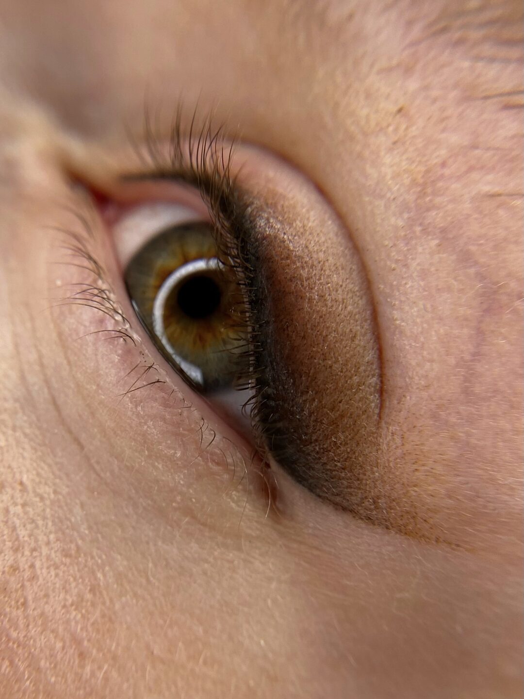 BASIC VELVET EYESHADOW
