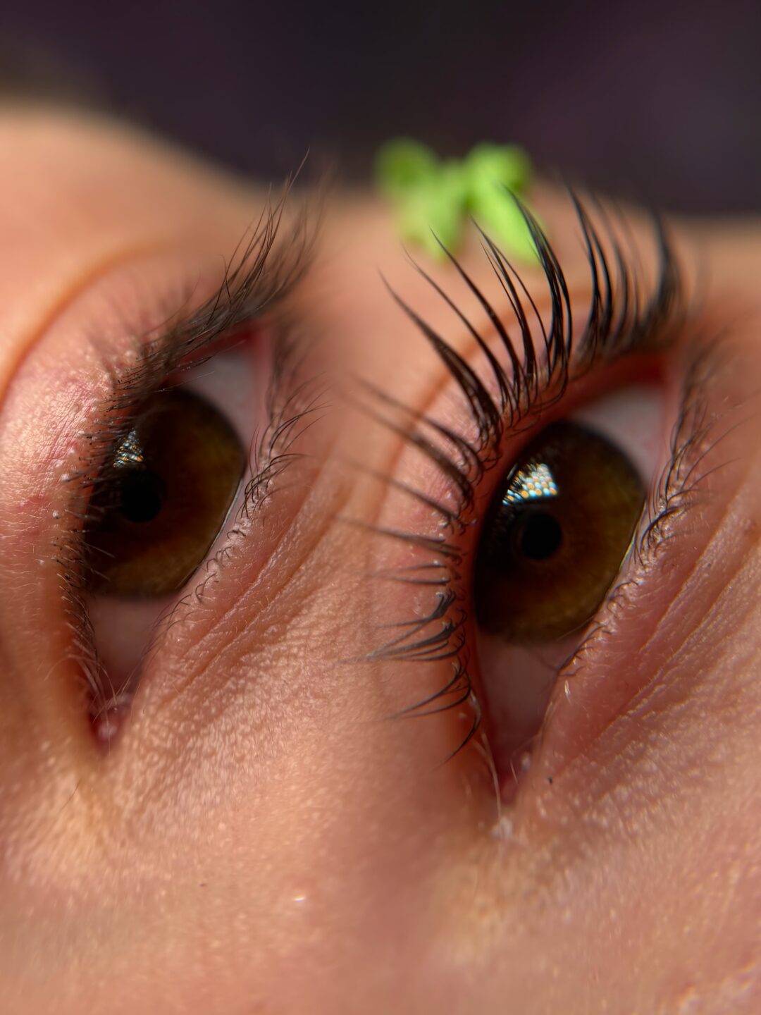 Combo Lash Lift
