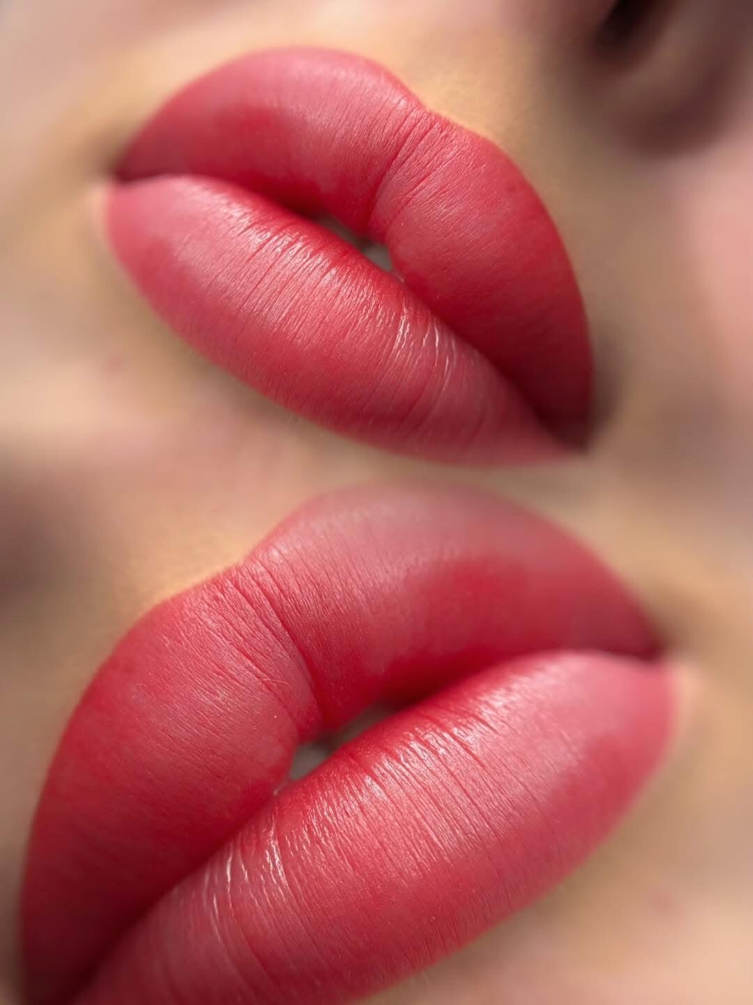 Basic Brows&Lips
