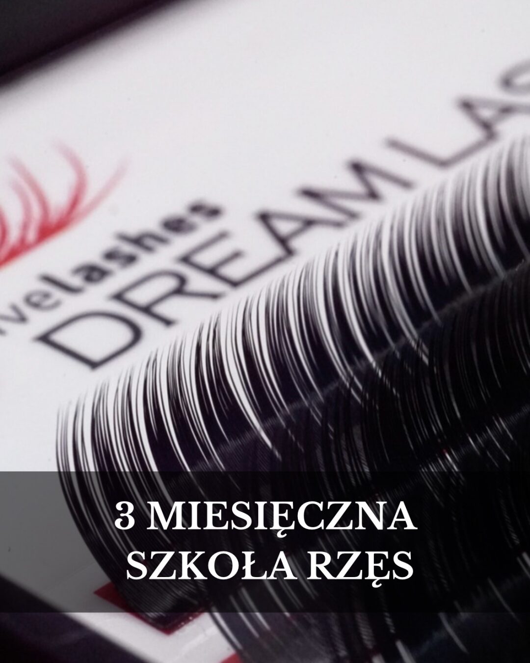🩷 3 MIESIĘCZNA SZKOŁA RZĘS | ROSE QUARTZ
