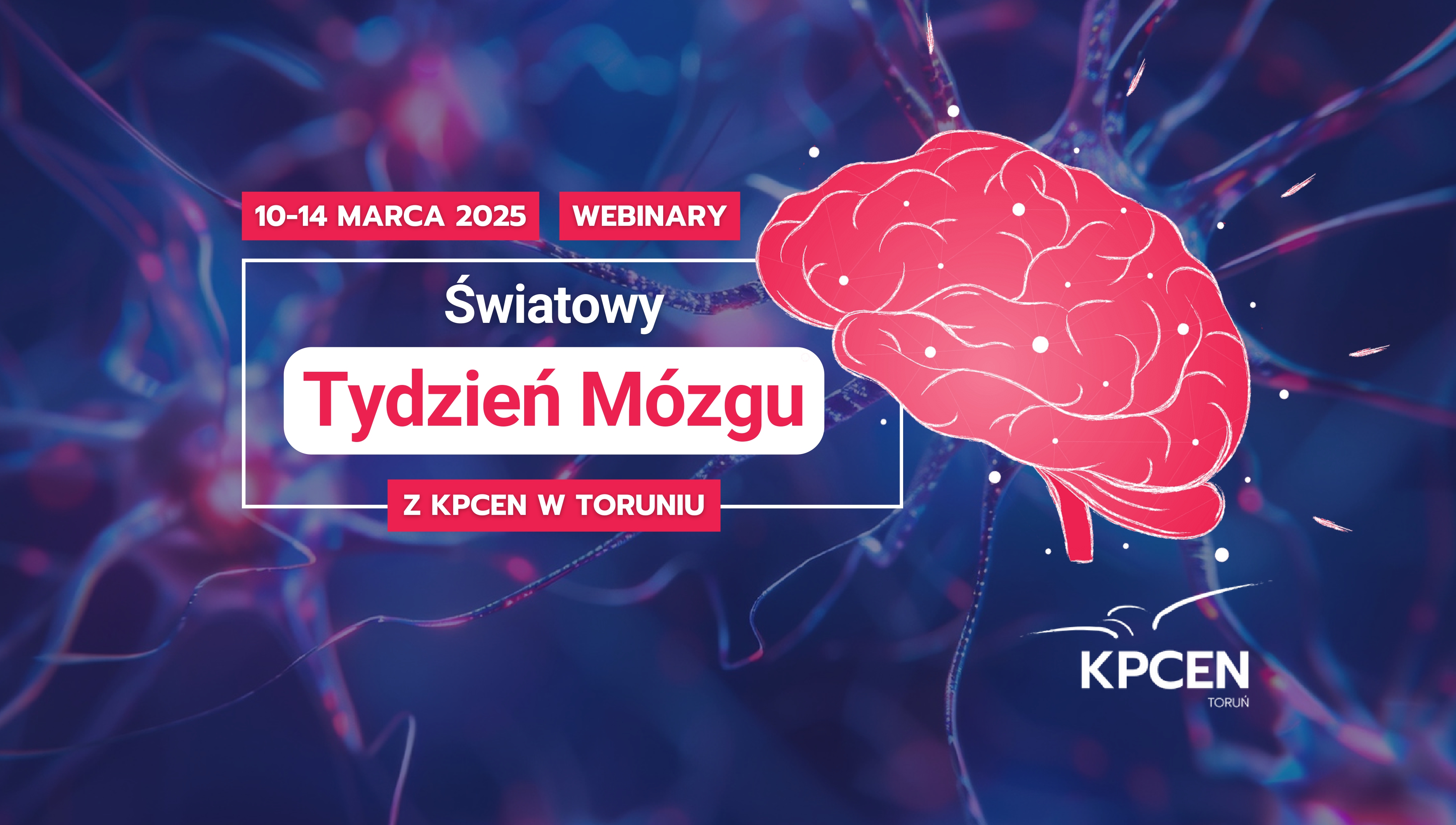 Tydzień Mózgu - relacja
